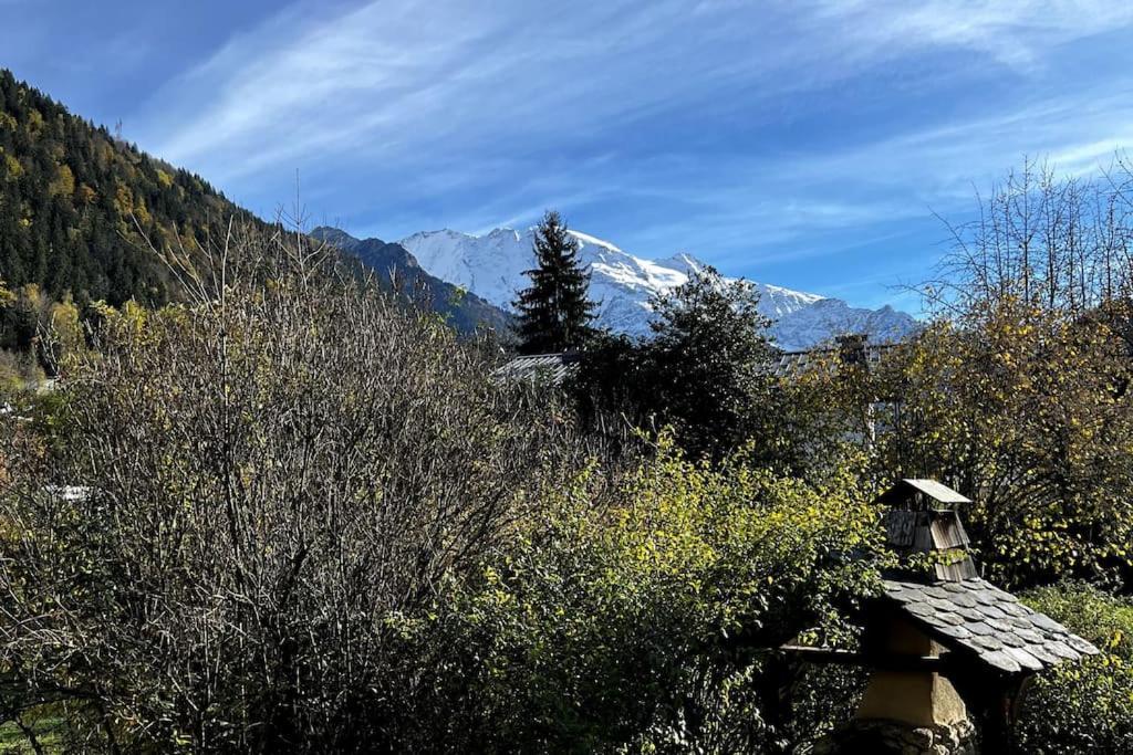 Appartement Dans Chalet - 75 M2 - 4 A 6 Personnes แซ็งต์-แฌร์เวส์-เลส์-แบ็งส์ ภายนอก รูปภาพ